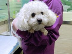 -暖阳宠物医院·犬猫康复中心·骨科