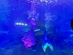 -沙沙哗啦海洋馆(华宇百花谷店)