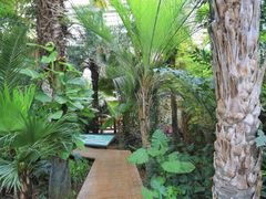 -石家庄市植物园