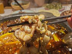 -费明中罗非鱼(大石坝店)