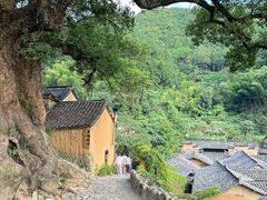 -杨家堂村