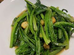 -新白鹿餐厅(百联中环店)