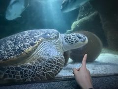 -大连圣亚海洋世界
