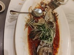 -国惠大酒楼(宝龙店)