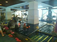 -稷泽·海丽宾雅温泉度假酒店