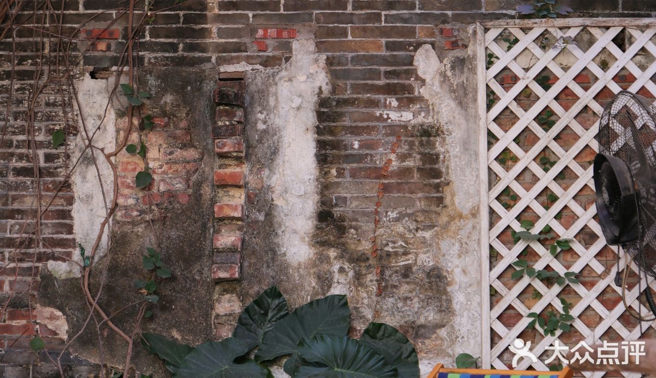 库存咖☕️和16岁“苏菲”，晒太阳、叹咖啡、聊人生