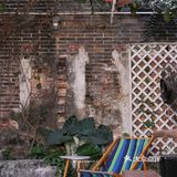 库存咖☕️和16岁“苏菲”，晒太阳、叹咖啡、聊人生