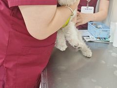 -美联众合动物医院·24h京西诊疗中心