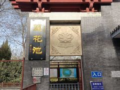 -莲花池公园