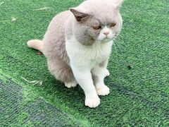 -秘密花园·换装下午茶·团建·沙龙·主题布置