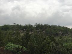 -白水寺森林公园