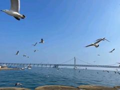 -星海广场