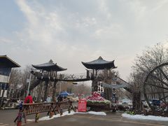 -呀路古热带植物园