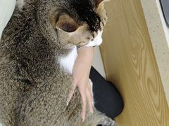 -芭比堂动物医院广州顽皮分院