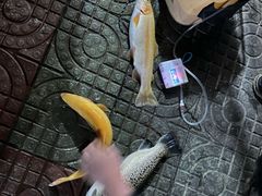 -遇见小院—虹鳟鱼•农家菜(怀柔店)