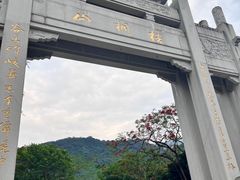 -梧桐山风景名胜区