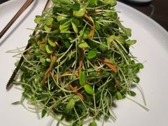 -海派悦庭·海胆烧麦·新融合菜(凯德广场店)