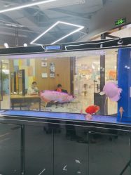 点击看大图 -T8 SALON