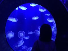 -成都浩海立方海洋公园