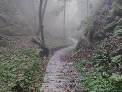 -缙云山景区