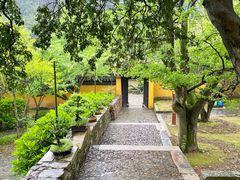 -东山风景区(洞庭东山)