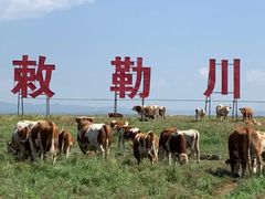 -敕勒川草原文化旅游区