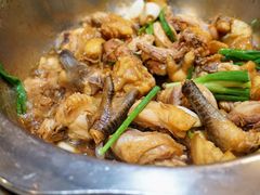 -九道菜有鸡鱼头(石鼓路店)