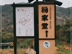 -杨家堂村