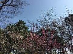 -尚贤河湿地