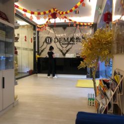 -DEM缔怡美科技美容