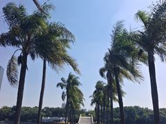 -南宁南湖公园
