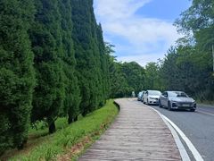 -棒棰岛宾馆景区