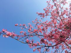 -芒洲湿地公园