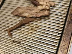 -莞香楼·正宗东莞菜(东升店)
