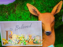 -上海虹桥锦江大酒店·宴会厅