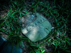 -杭州半山国家森林公园