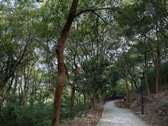 -汤山公园
