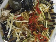 稀磷鱼-煲来饱去冷水鱼