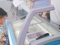 -维尔纳斯·生日蛋糕动物奶油冰淇淋蛋糕(人大店)