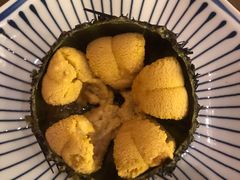 活海胆-希望日本料理(保利香槟花园店)