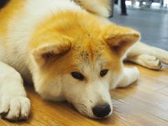 -YCHL Studios健身工作室(市二宫店)