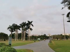 -万绿园
