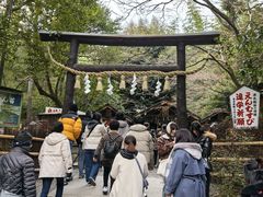 -野宫神社