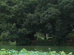 -人民公园(罗湖区)