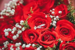 -Sunny喜铺婚礼策划(东部店)