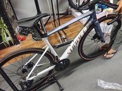 -道路口单车爱瓦士dahon大行