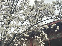 -堤角公园