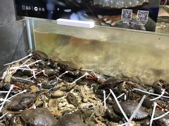 -盒马鲜生(皇庭广场店)