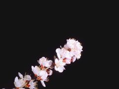 -鬼笑石后山停车场