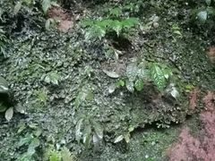 -龙水峡地缝景区